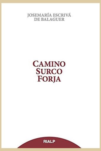 CAMINO SURCO FORJA